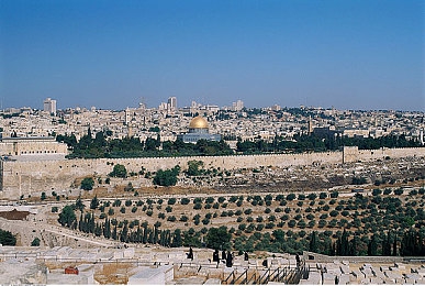 黑料吃瓜网曝门反差婊爆料：赛车游戏角色宣传与剧情严重割裂，玩家社群声讨制作方决策争议-2