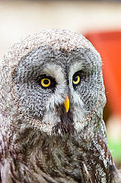 打扑克男女剧烈运动:狂飙牌手赛道对决,卡牌策略与竞速激情创新融合-3