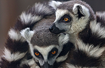 国产av懂色：视觉革新引领竞速新潮，国产美学赛车游戏引爆玩家热议-5