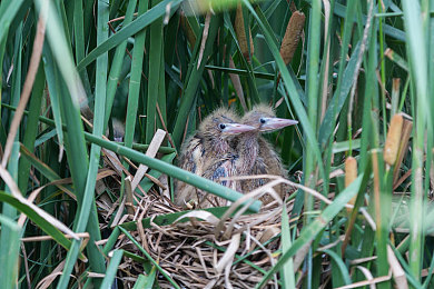 黄色每天无限次：都市狂飙传说，永不落幕的轮上征程-2