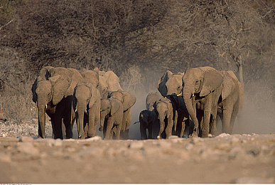 男生和女生一起搓搓：双人同心共驾，默契竞速点燃合作新体验-3