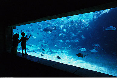 黄色免费ps大片直播软件有哪些:竞速游戏新作盘点,极致画面与真实驾驶体验全解析-2