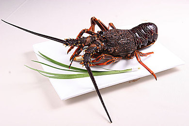 男女艹比软件：竞速游戏新纪元，社交对比系统掀起驾驶体验革命浪潮-4