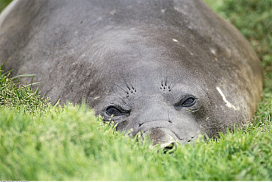 羽毛在尿孔缝上划来划去的不准尿小：在崩溃边缘完成毫米级挪移的艺术-4