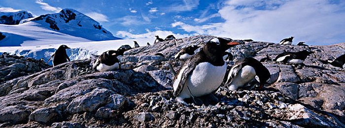 男生女生一起差差差差app：极速搭档双人驱动，差异协作共闯未来赛道-3