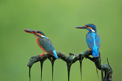 挠脚心+折磨+抹油+哭喊作文2023:极限失控竞速,在油污与尖叫中挑战驾驶边界-4