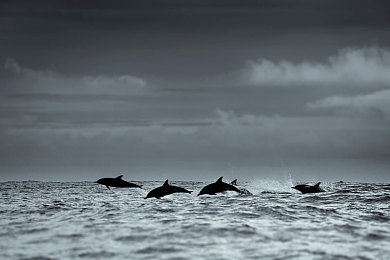 打朴克又叫痛：卡牌策略与街头竞速融合，双屏操作引爆全新对抗体验-2