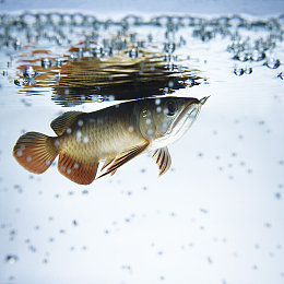 男男激情网站：《极速搭档》今日上线，双人协同驾驶开启竞速新纪元-2