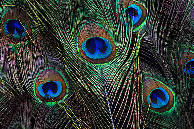 陈冠希视频:霓虹迷踪,数据雨中的街头救赎之旅-5