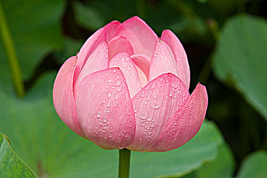 17C 吃瓜：极限竞速狂欢，赛道喜剧观察与意外瞬间全记录-4