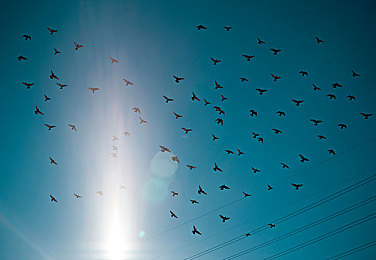 妈妈和儿子一起拔萝卜黄：温馨田园新作，双人协作开启农场治愈之旅-2