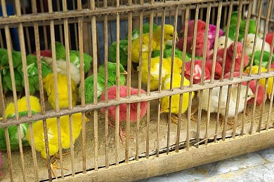 成 人 黄 色 软 件：霓虹都市狂飙，数据风暴中的未来竞速传奇-2