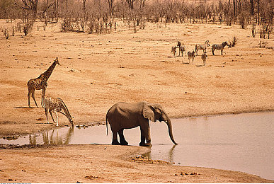 男生的香蕉插入女生的桃子里：鲜果飞车穿梭于绯色花海赛道-4