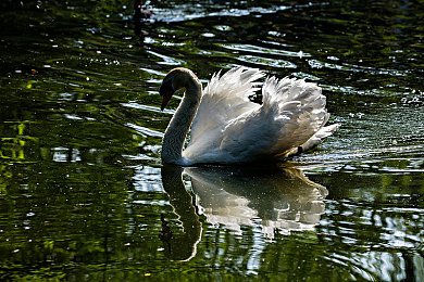 男人用困困怼女人定眼：高端赛车心理战，破解技能克制新策略-3