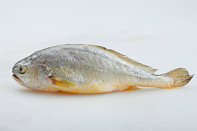 男同0用吸：真空吸附技术革新竞速体验，未来赛道引爆极速狂飙-4