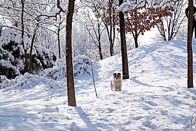 口述3p口述全过程：墨西哥狂飙，三人协奏曲的战术交响诗篇-2