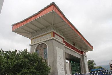 8x8x海外华人：极速天涯，故土飞驰于墨西哥画卷之上-4