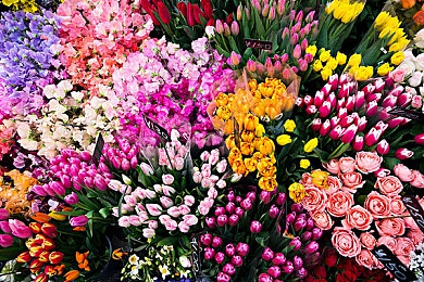 男生把困困放到女生困困里：能源核心协同竞速，双生引擎融合冒险-5