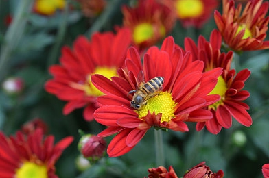 国产成人综合篇：《极速都市暗夜交锋》正式发售，硬核驾驶与深度叙事重塑都市生存法则-4