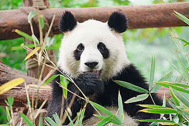 男人机通女人：竞速与情感交织，全新驾驶模拟游戏颠覆传统玩法-5