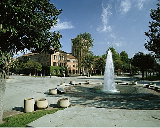 台湾黄色网址:极速狂飙隐藏赛道全解析,征服金色海岸线驾驶挑战-2