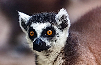 汤姆影院：霓虹峡谷极速传说，光影街道改装传奇-4