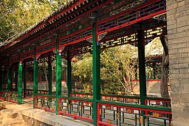 女人与公豬交交酡视频：泥泞峡谷的钢铁舞者，女性车手的逆袭传奇-4