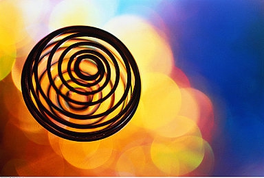 404黄大全：数据追缉今日上线，全收集攻略与隐藏车辆揭秘-5