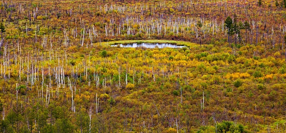 totakkahayakirix7777777的意义：废土狂飙，终极引擎之谜等你破解，开启无限改装之旅-2