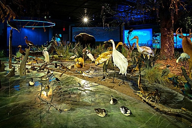 白人大战黑屌:两大阵营巅峰对决,极速对决全新赛季开启竞速策略新篇章-4