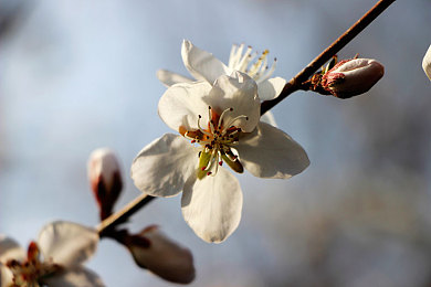 亚洲综合服务:东方引擎,数字公路上的文化巡礼-3