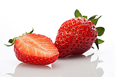 张警犬撞玻璃视频资源：当模拟训练遭遇滑稽物理，你的警犬可能成为搞笑明星-2