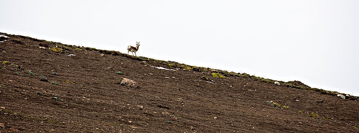 富婆按摩高潮了几次：极速狂飙，在霓虹都市解锁巅峰驾驶快感-3