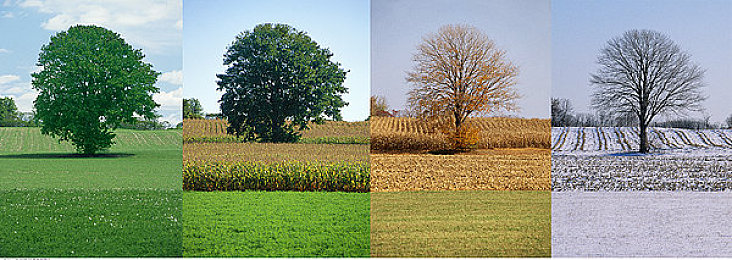 色多多:极速画廊,调色盘上的竞速艺术-3