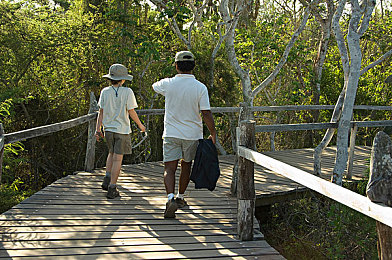 男和女人操逼软件：双驱协同引爆竞速革命，未来赛道共舞极致配合-2