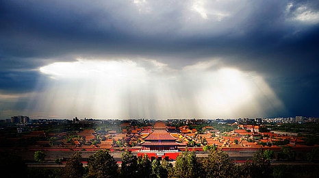 打扑克又喊又叫的软件：狂飙牌局，极速赌徒的赛道博弈-3