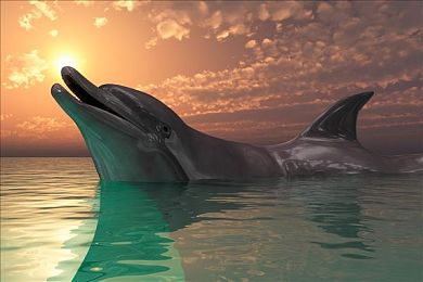 痛痒的打扑克：卡牌策略引爆极速狂飙，创新竞速游戏今日震撼上线-3