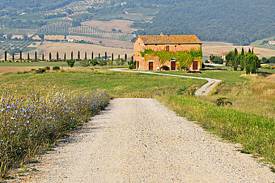 男男大学生同性恋：虹光双驱，竞速与共途的青春协奏-2