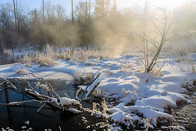 黄三色最佳搭配颜色:疾速美学,打造地平线最耀眼的赛道焦点-4