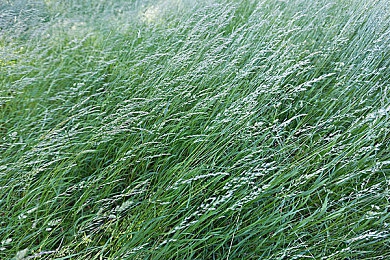 黄色下载oppo：霓虹都市狂飙，道德与速度的隐秘抉择-4