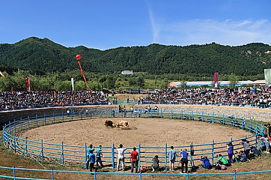 黄色应用商店：极限改装王，打造你的专属梦想车库，体验速度与个性的终极融合-4