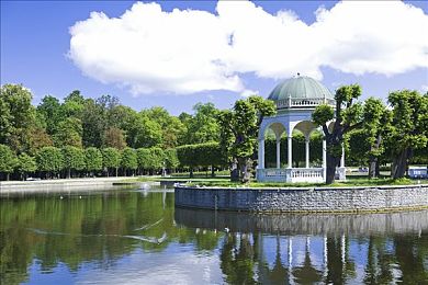 不要钱的不良软件：在霓虹夜幕下改写城市的速度法典-4