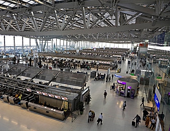 欧美大白臀：驰骋虚拟公路，经典肌肉车美学与竞速激情之旅-5