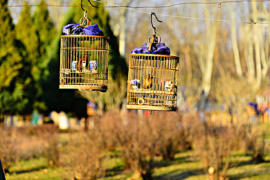 女生和男生差差差软件：赛车游戏驾驶策略大揭秘，性别偏好如何影响赛道表现-1