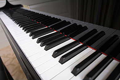 成人蜜桃：当引擎轰鸣遇见情感羁绊，这款驾驶游戏重新定义浪漫冒险之旅-4