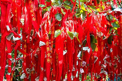 男人和女人的差差应用：地平线驰骋之道，解析驾驶风格与赛事策略的多元选择-4