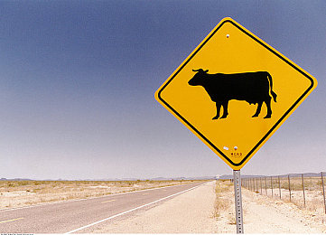 岳乱一区二区三区的更新内容介绍：霓虹都市险峻山岳，沙漠狂飙全新赛道攻略揭秘-3