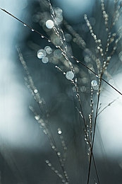 男生用鸡鸡差女生的软件：弯道与直道的性别策略竞速之旅-3