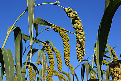 夜间十八禁：暗影疾驰，挑战极限竞速的夜幕赛道-3