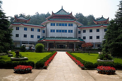 huangse软件：极速黄焰全球狂飙，拟真驾驶与视觉盛宴的竞速新作-5